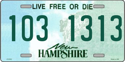 NH license plate 1031313