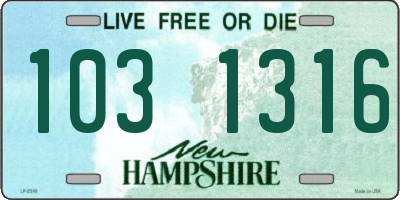 NH license plate 1031316