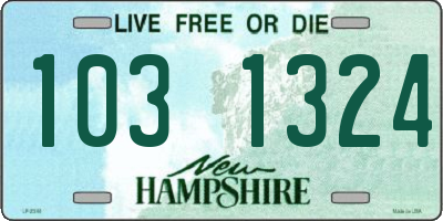 NH license plate 1031324