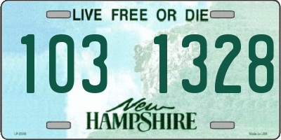NH license plate 1031328