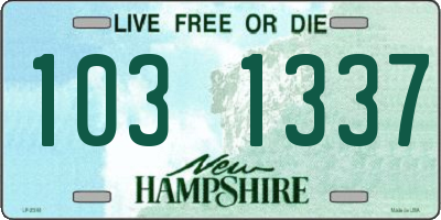 NH license plate 1031337