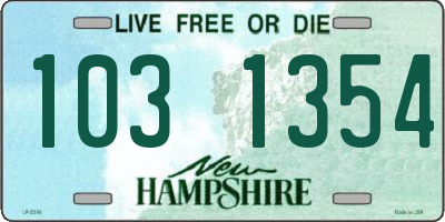 NH license plate 1031354