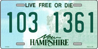 NH license plate 1031361
