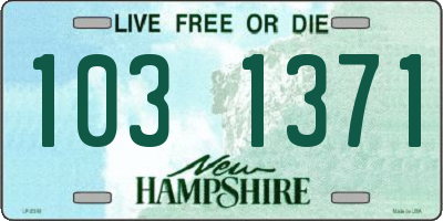 NH license plate 1031371