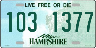 NH license plate 1031377
