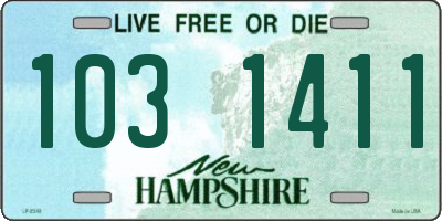 NH license plate 1031411