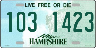 NH license plate 1031423
