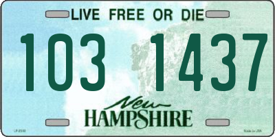 NH license plate 1031437