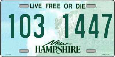 NH license plate 1031447