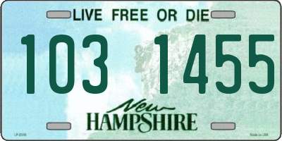 NH license plate 1031455