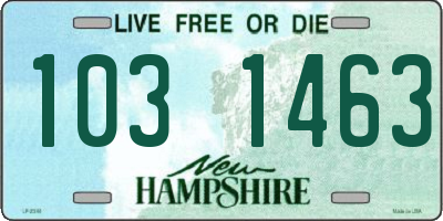 NH license plate 1031463