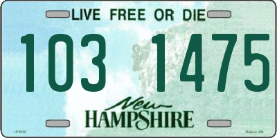 NH license plate 1031475