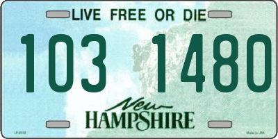NH license plate 1031480
