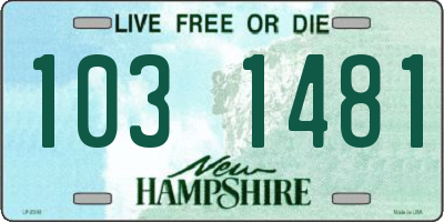 NH license plate 1031481