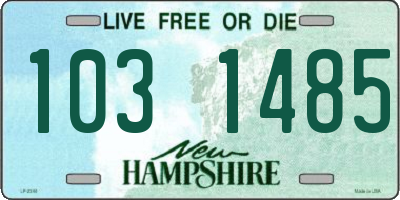 NH license plate 1031485