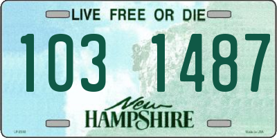 NH license plate 1031487