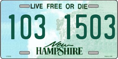 NH license plate 1031503