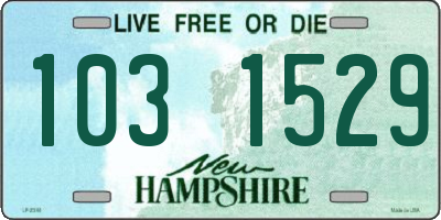 NH license plate 1031529