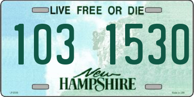 NH license plate 1031530