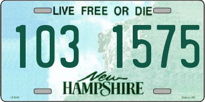 NH license plate 1031575