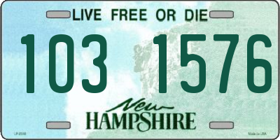 NH license plate 1031576