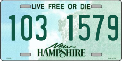 NH license plate 1031579