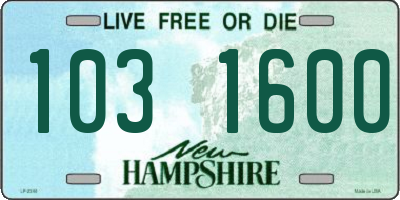 NH license plate 1031600