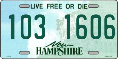 NH license plate 1031606