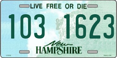 NH license plate 1031623