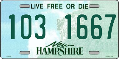 NH license plate 1031667