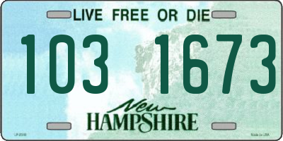 NH license plate 1031673