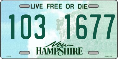 NH license plate 1031677
