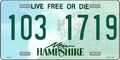 NH license plate 1031719