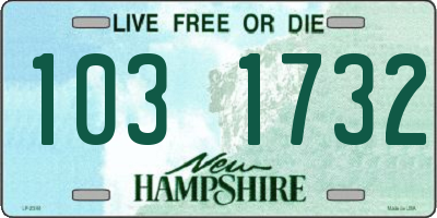 NH license plate 1031732