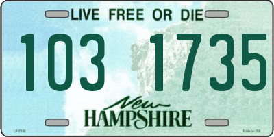 NH license plate 1031735