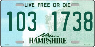 NH license plate 1031738