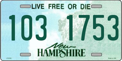 NH license plate 1031753