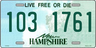 NH license plate 1031761