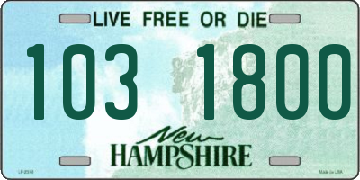 NH license plate 1031800