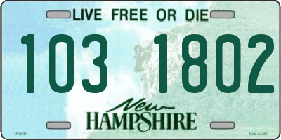 NH license plate 1031802