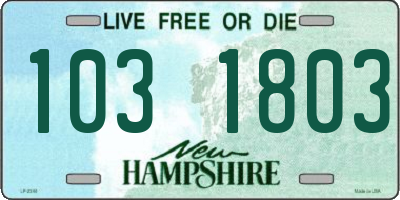 NH license plate 1031803