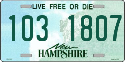 NH license plate 1031807