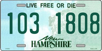 NH license plate 1031808