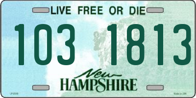 NH license plate 1031813