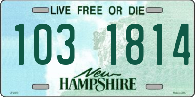 NH license plate 1031814