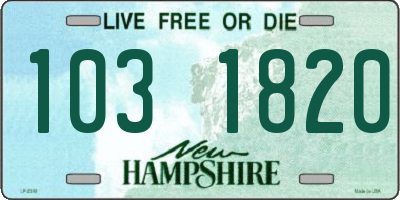 NH license plate 1031820