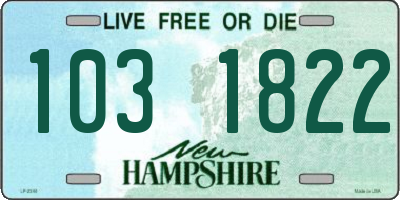 NH license plate 1031822