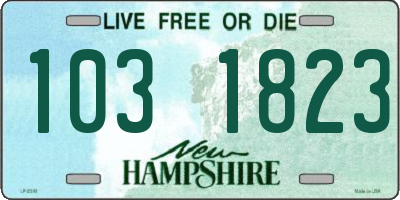 NH license plate 1031823