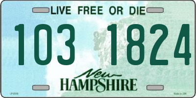 NH license plate 1031824