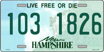 NH license plate 1031826